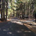 Collier memorial state park