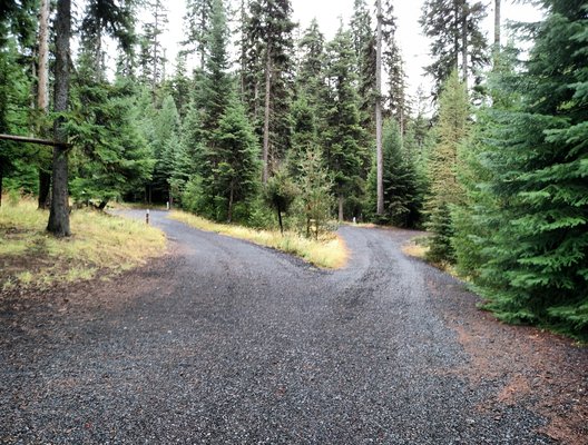 Cutsforth Park Campground Reviews updated 2025