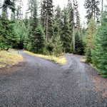 Cutsforth forest park