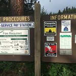 Deerhorn forest camp