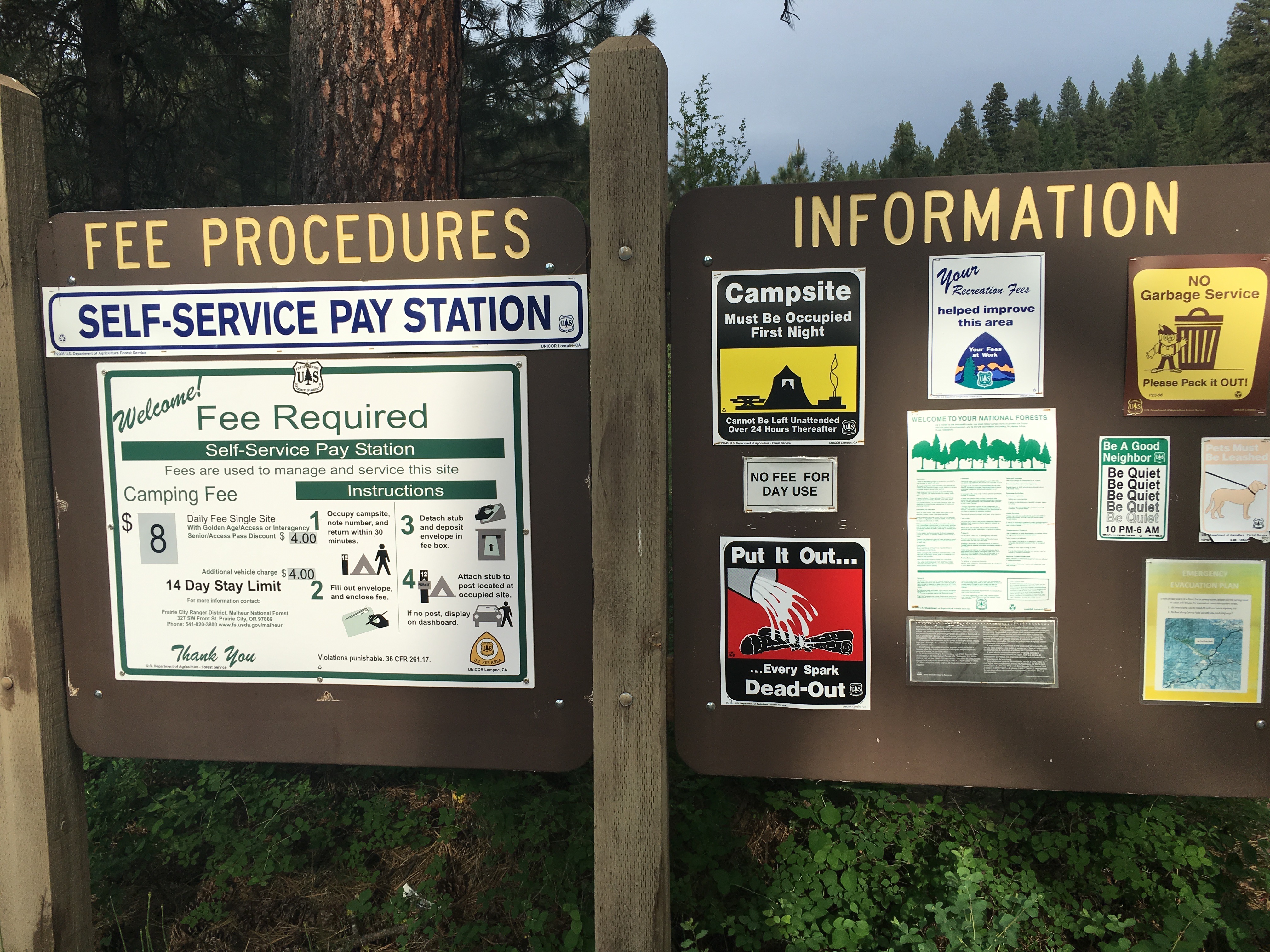 Deerhorn Forest Camp