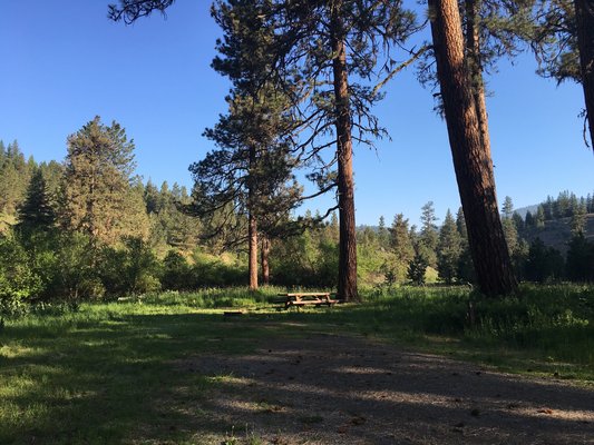 Deerhorn Forest Camp