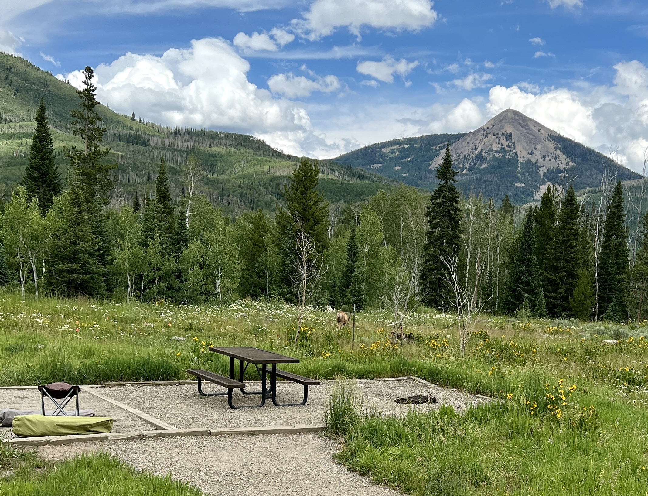 Sunrise Vista Campground Reviews updated 2024
