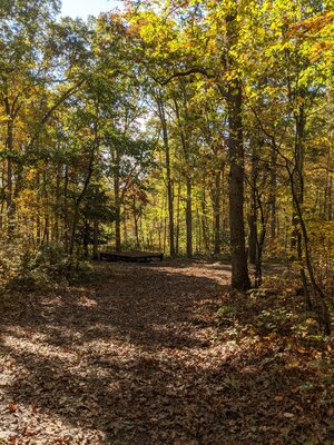 Steam Mill Camping Area photo 2