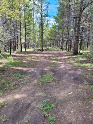 Wurtz Ditch Dispersed Camping photo 2
