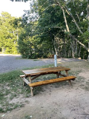 Wilderness Resort photo 2