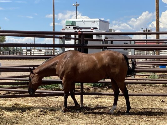 Albany County Fairgrounds photo 2