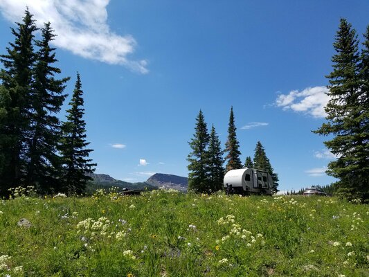 Smith Creek Dispersed Camping photo 2