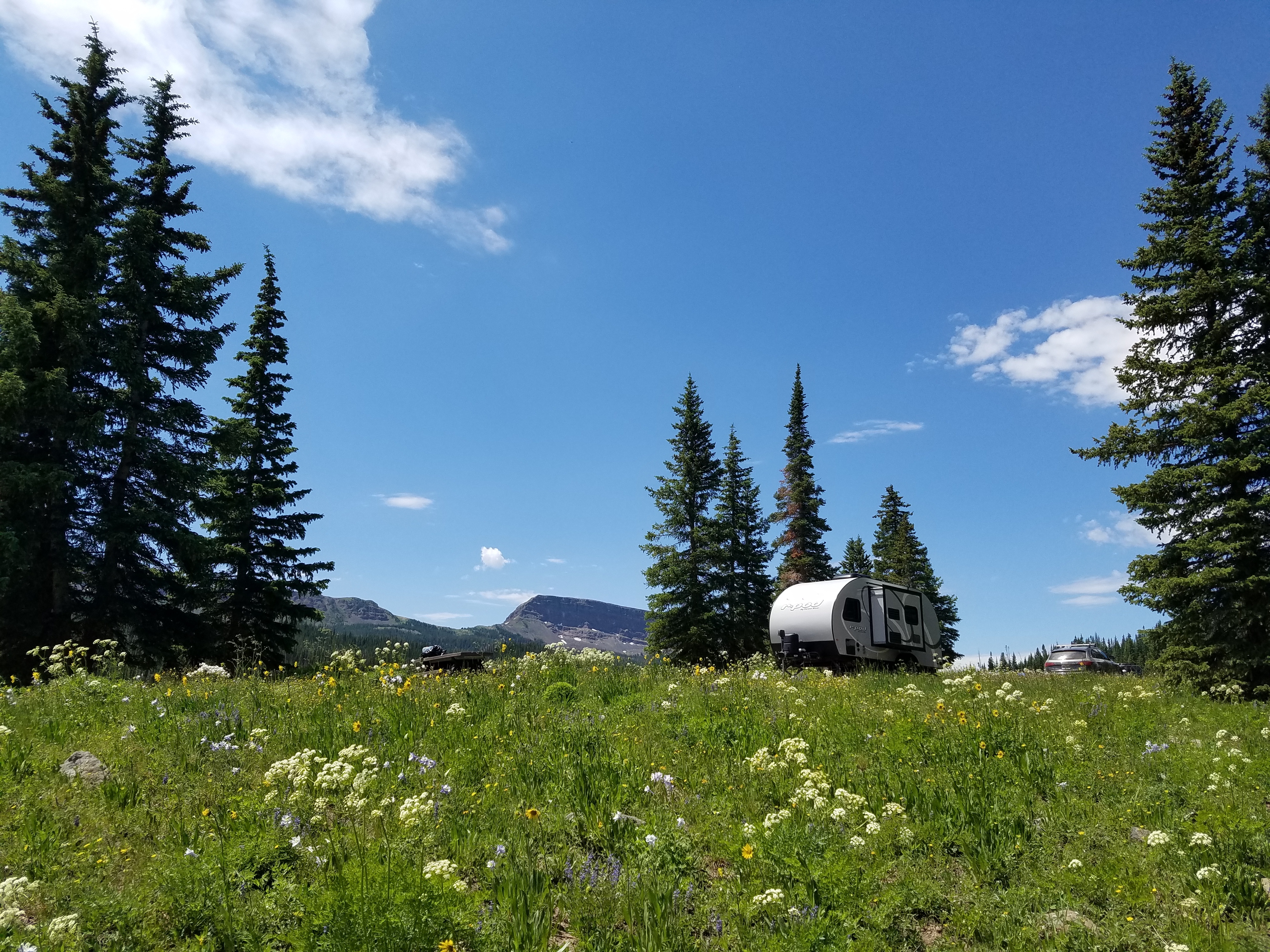 Smith Creek Dispersed Camping