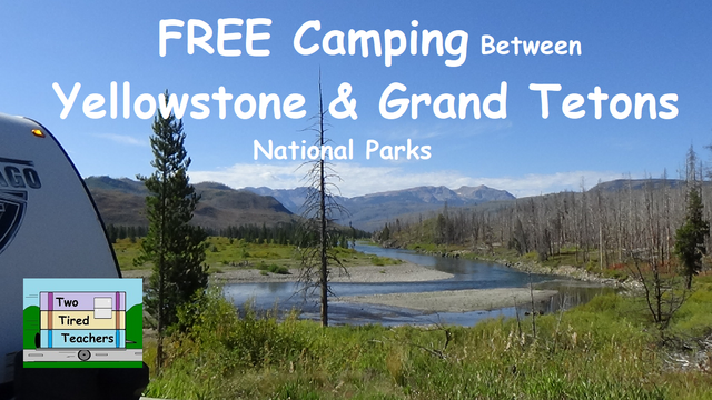 Grassy Lake Road Campsite #3