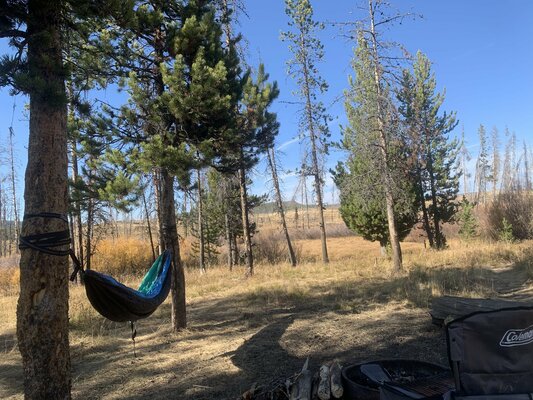 Grassy Lake Road Campsite #5
