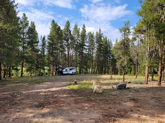 Halfmoon Creek South Dispersed Camping