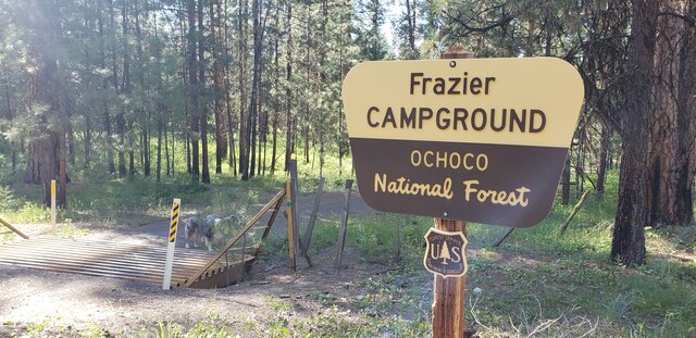 Frazier