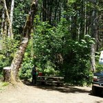 Gales creek campground