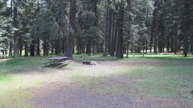 Grizzly Campground photo 2