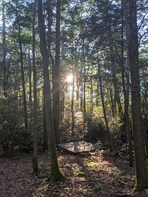 New River Gorge Campground - American Alpine Club