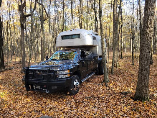 Dimmick Meadow Designated Dispersed Campsite 20