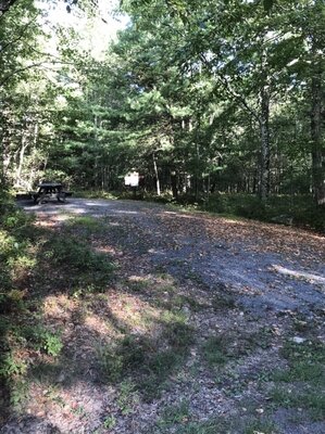 Yellow Pine Designated Dispersed Campsite 21 photo 2