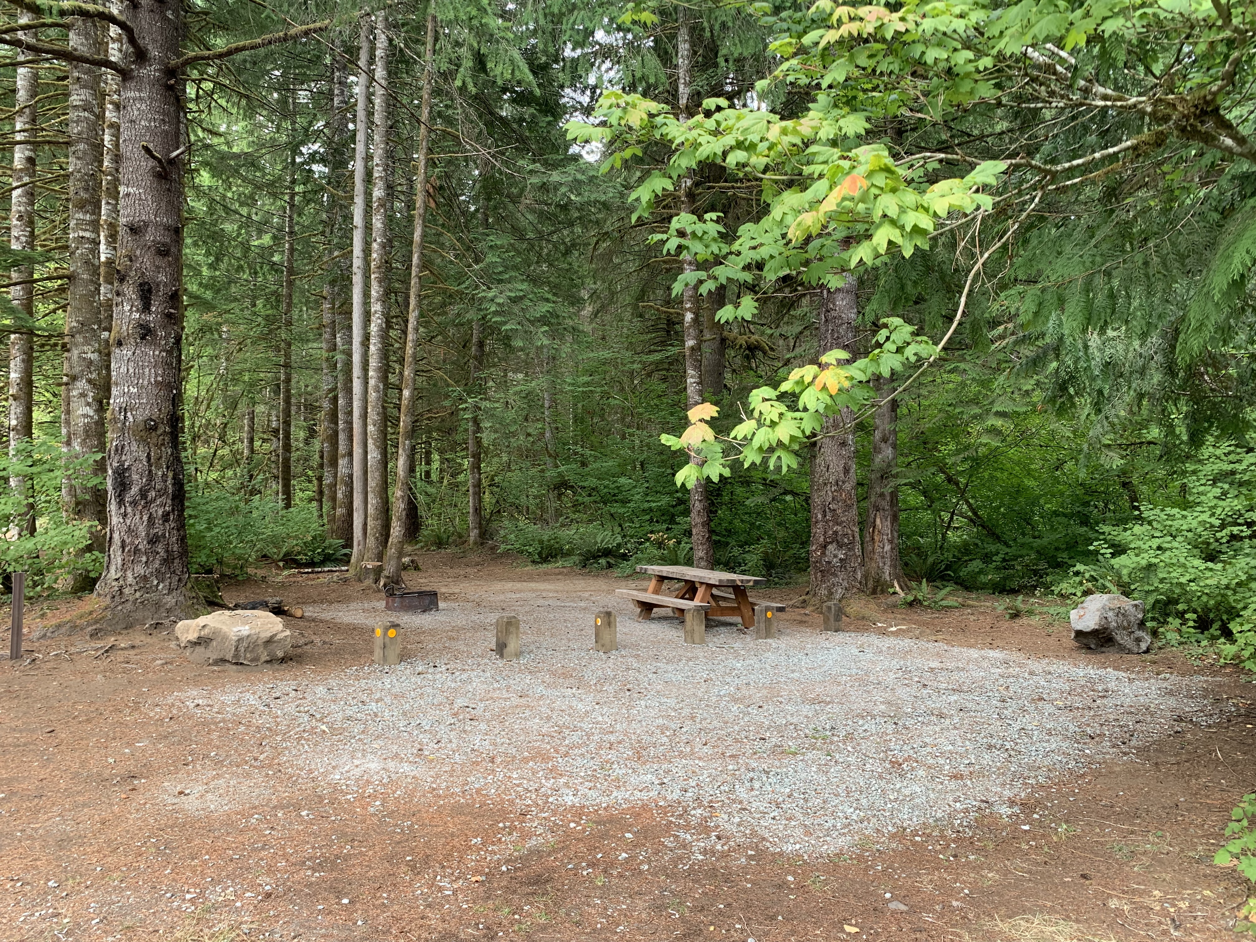 Lower Sandy Dispersed Campsites - Main photo