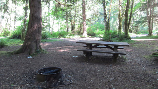 Laird Lake Campground photo 2