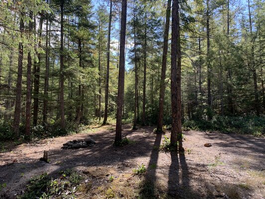 Suiattle River Dispersed Campsites