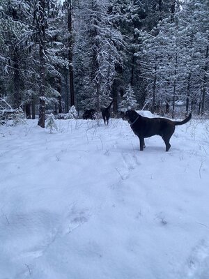Lane Creek Campground
