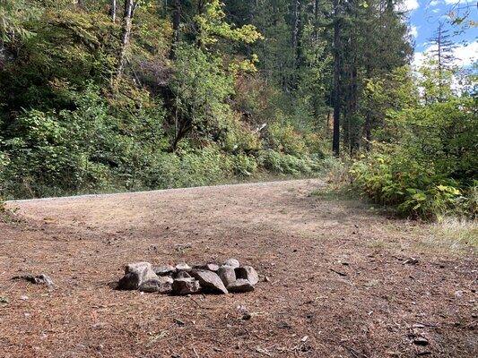 Suiattle River Water View Dispersed Campsites photo 2