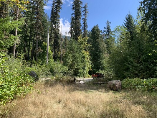 Suiattle River Road Dispersed Campsite