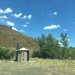 Lone pine