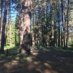 Middle fork
