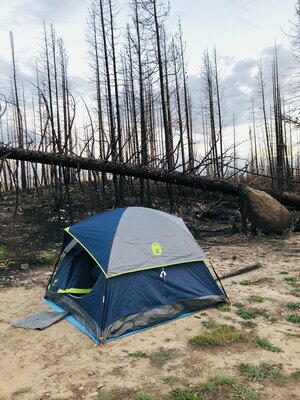 Stillwater Creek Dispersed Camping photo 2