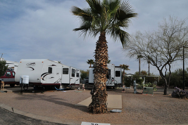 Western Way 55+ RV Resort photo 2
