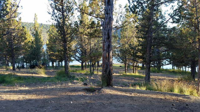 Ochoco Lake County Park