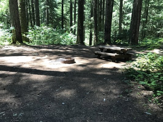 Olallie Campground photo 2