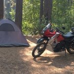 Pine rest