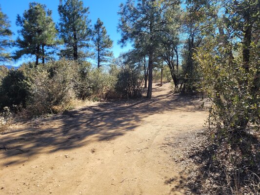 Maripai Road Designated Dispersed Campsite 1