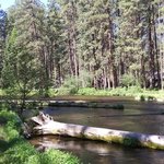 Riverside 1b5440c7 a0f7 4752 8f44 5f7434180bc6