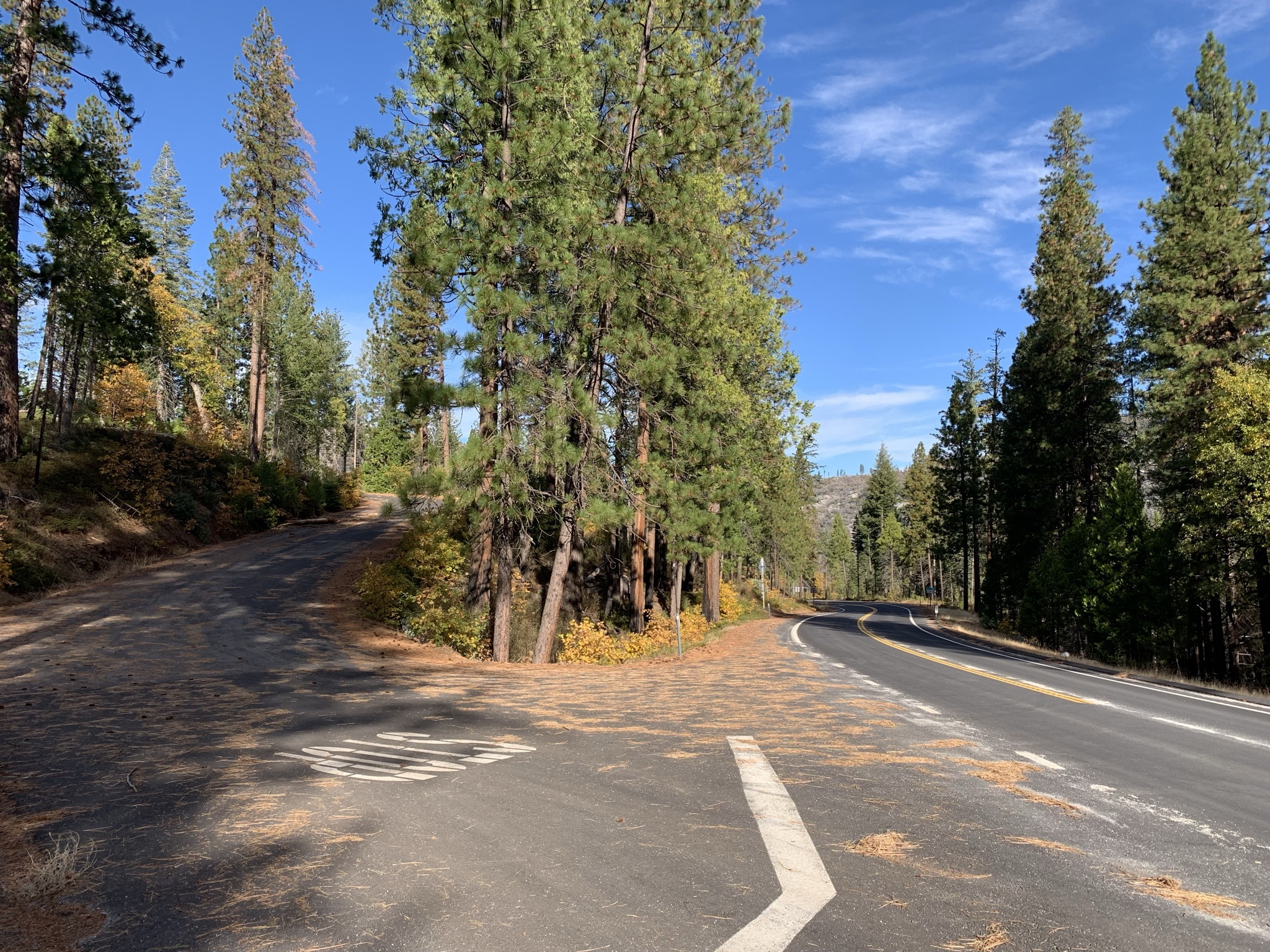 Hardin Flat Road Dispersed Campsites - Main photo