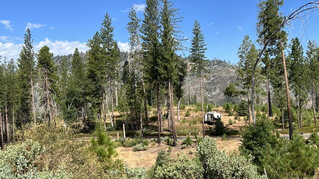 Hardin Flat Road Dispersed Campsites
