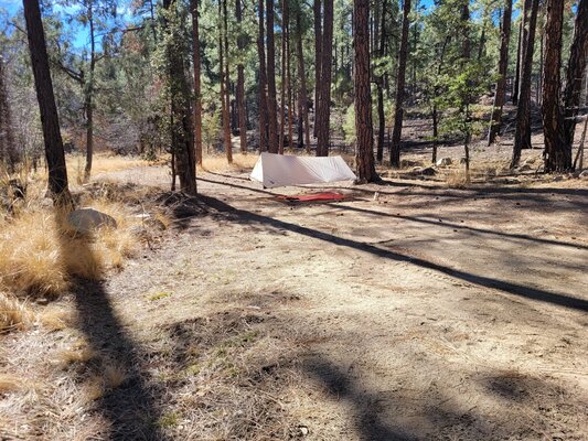 Tritle Mountain Road Designated Dispersed Campsite 14 photo 2