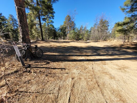 Sundance Road Designated Dispersed Campsite 6