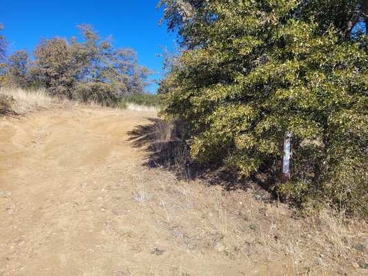 Maripai Road Designated Dispersed Campsite 3