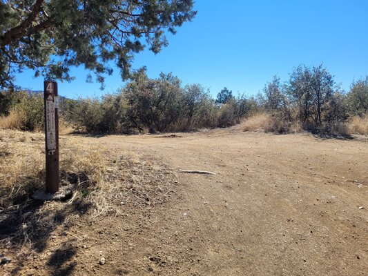 Maripai Road Designated Dispersed Campsite 4 photo 2