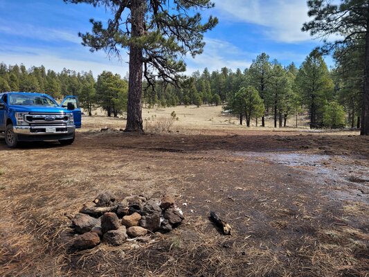 Coyote Creek Dispersed Camping Reviews updated 2024