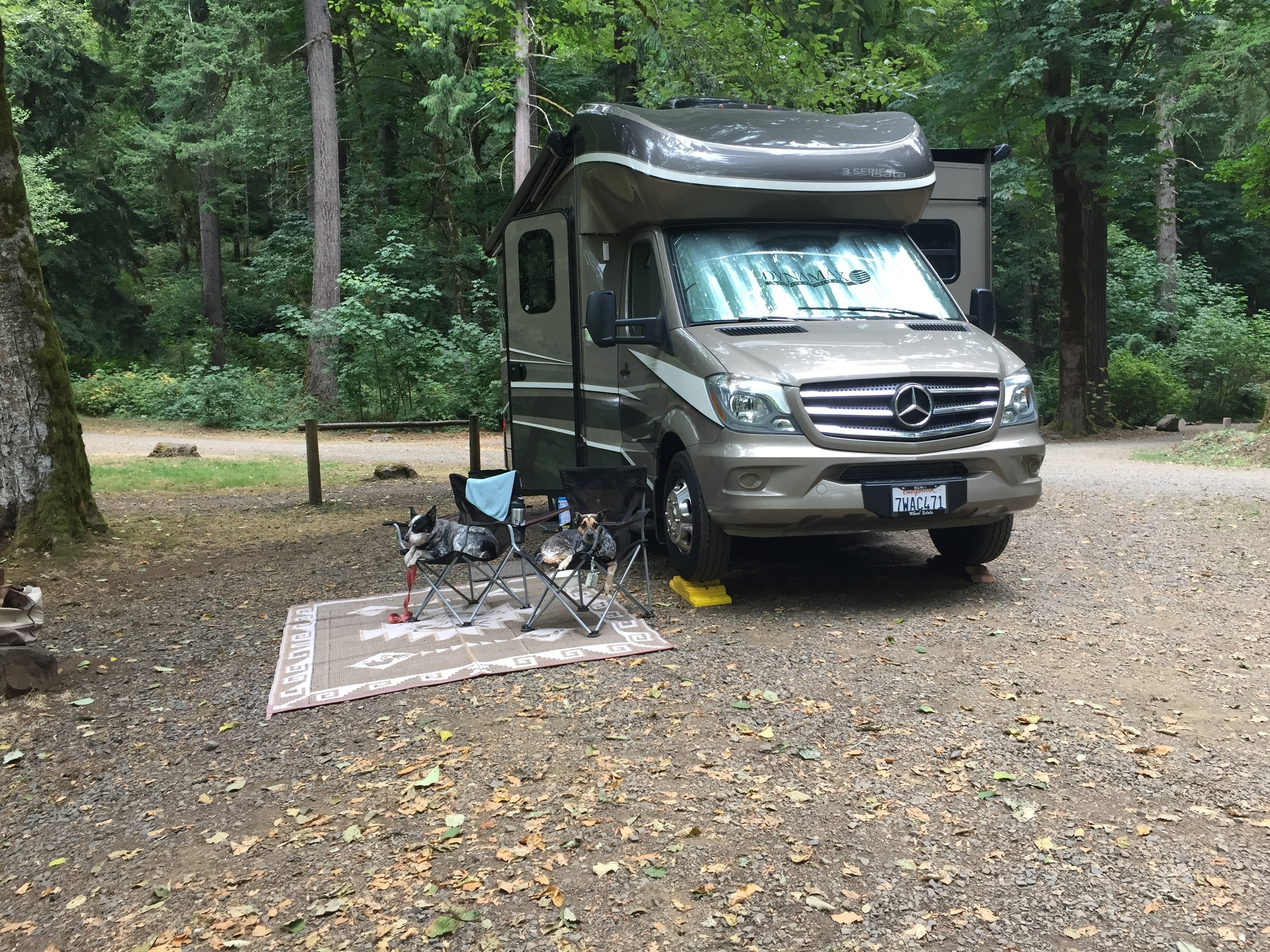 Henry Rierson Spruce Run Campground