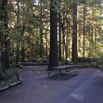 Susan creek