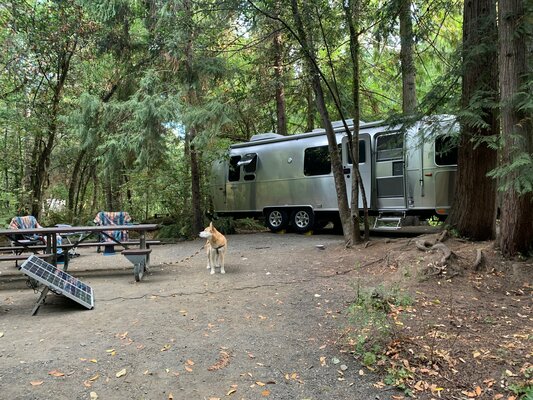 Tyee Campground