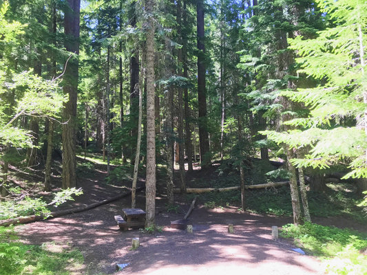 Whitehorse Falls Campground photo 2