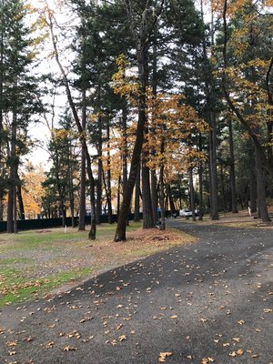 Whitehorse Park Campground photo 2