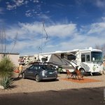 Skp saguaro co op